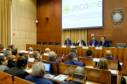ASCAME_Gen_Ass_1020